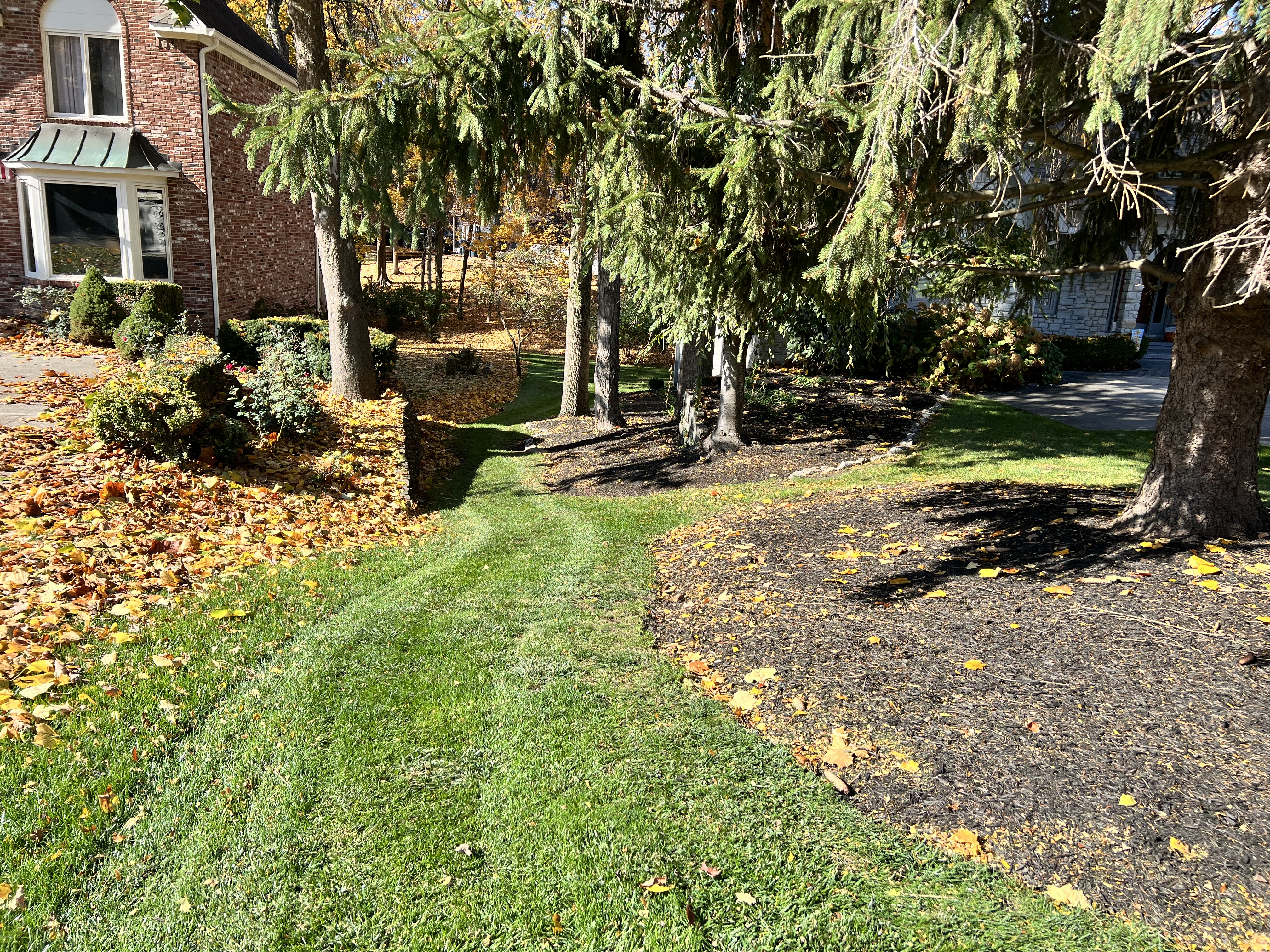 Lawn Care Service in Geist: Fall Clean Up Done Right