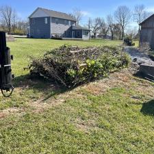 Top-Quality-Brush-Clean-Up-in-Geist-Indiana 2